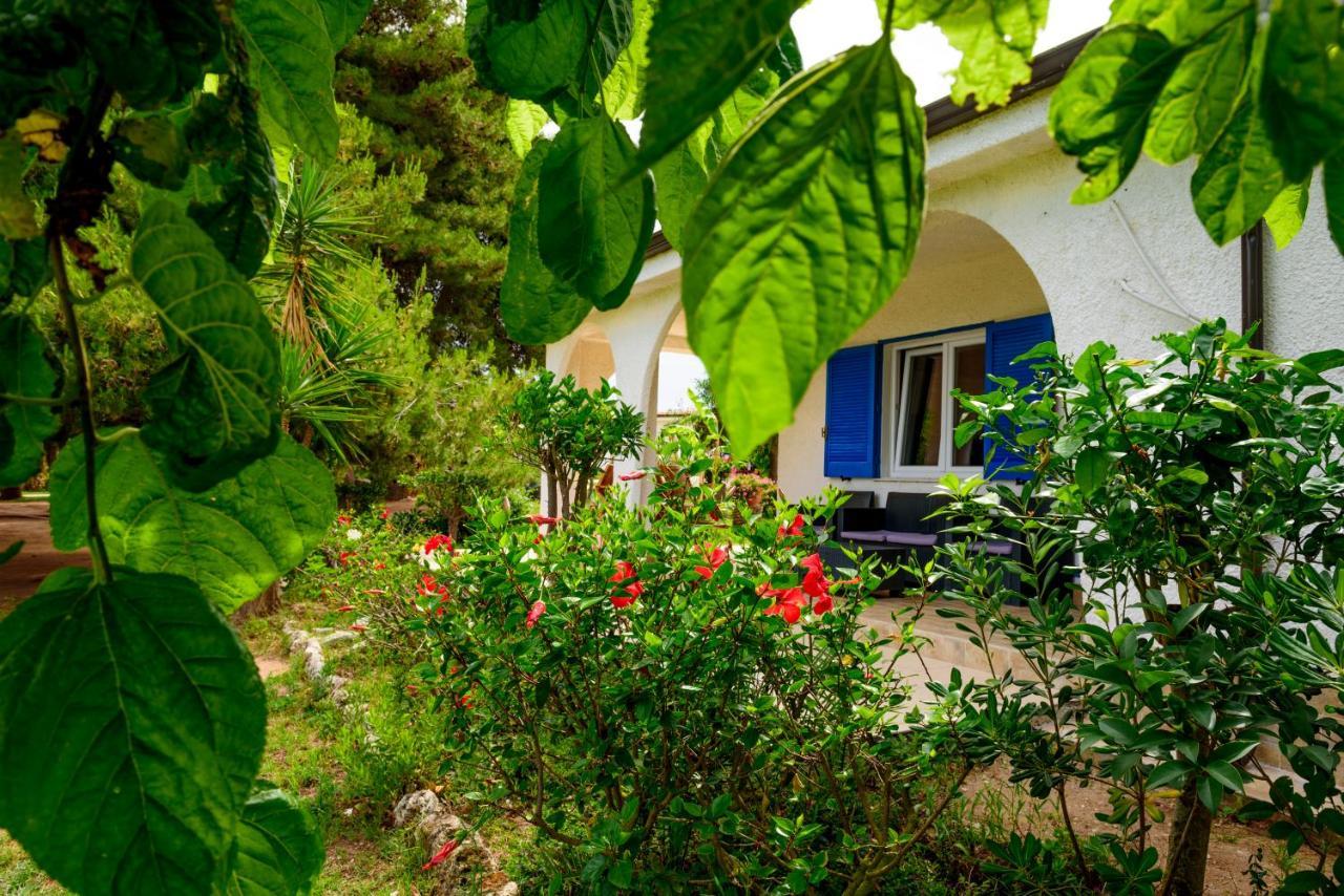 Tuisuneo La Conchiglia - Adults Only Capo Vaticano Zewnętrze zdjęcie